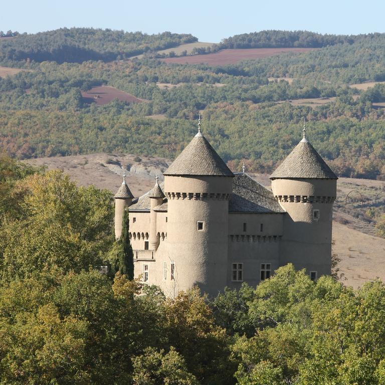 Chateau De Lugagnac Rivière-sur-Tarn Exterior foto